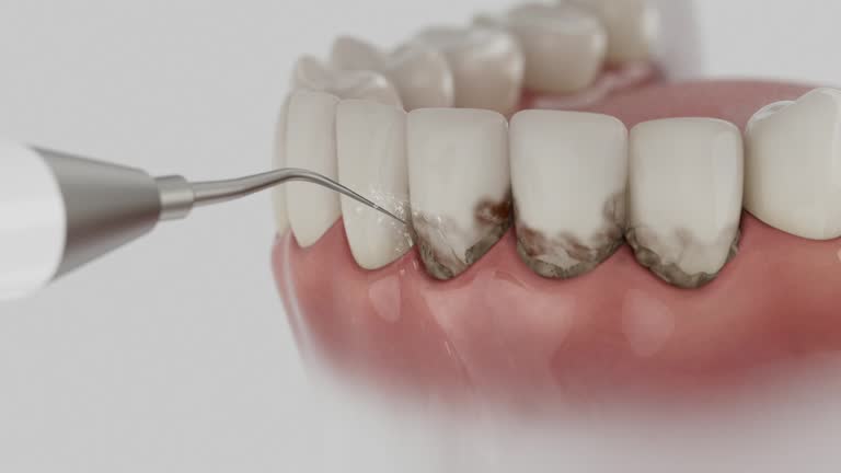 Reliable Dental contractor in Middletown, PA by Dentist Open Now